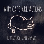sketchbookjack chalkboard texture black and white cartoon cats are aliens funny humor drawing illustration monorail no legs